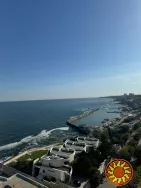 Сдам просторную 1-ком.квартиру в жк Морская симфония в Аркадии.