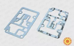 Carraro gasket