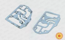 Carraro gasket