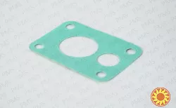 Carraro gasket