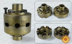 Carraro differential box