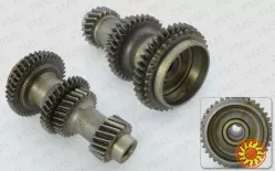 Carraro gear