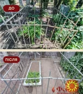 Уборка на клатбищах. Реставрация памятников. Фотоотчет. Николаев и вся Украина