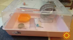 Клетка для хомяков MINI DUNA Ferplast, 50*35*25см, Италия