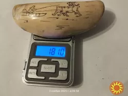 Клык моржа с гравировкой