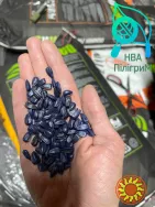 Насіння соняшнику ARIZARO. Новинка сезону