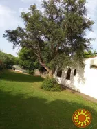 Вилла Джорджия на Сардинии – аренда для вашего отдыха!