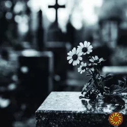 Ритуальные услуги и груз 200 в Харькове