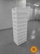 Пластикові ящики бу